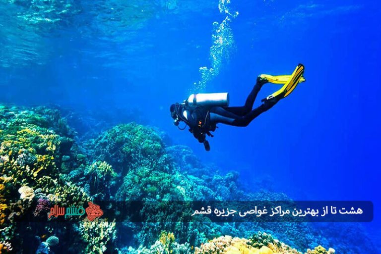 8 تا از بهترین مراکز غواصی جزیره قشم
