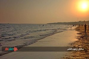 ساحل زیتون قشم